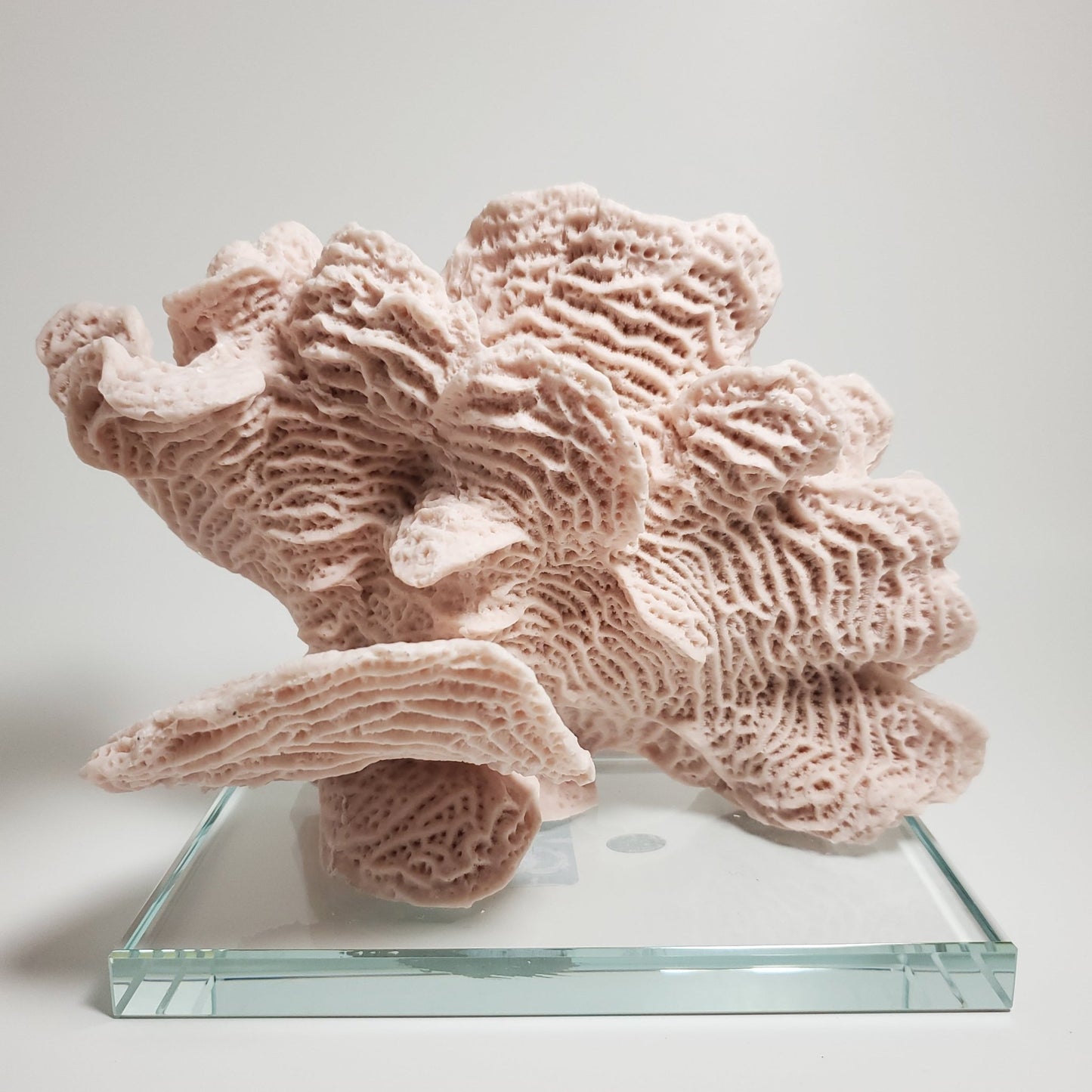 Blush pink coral accent decor - Tamayne's Decor & Events