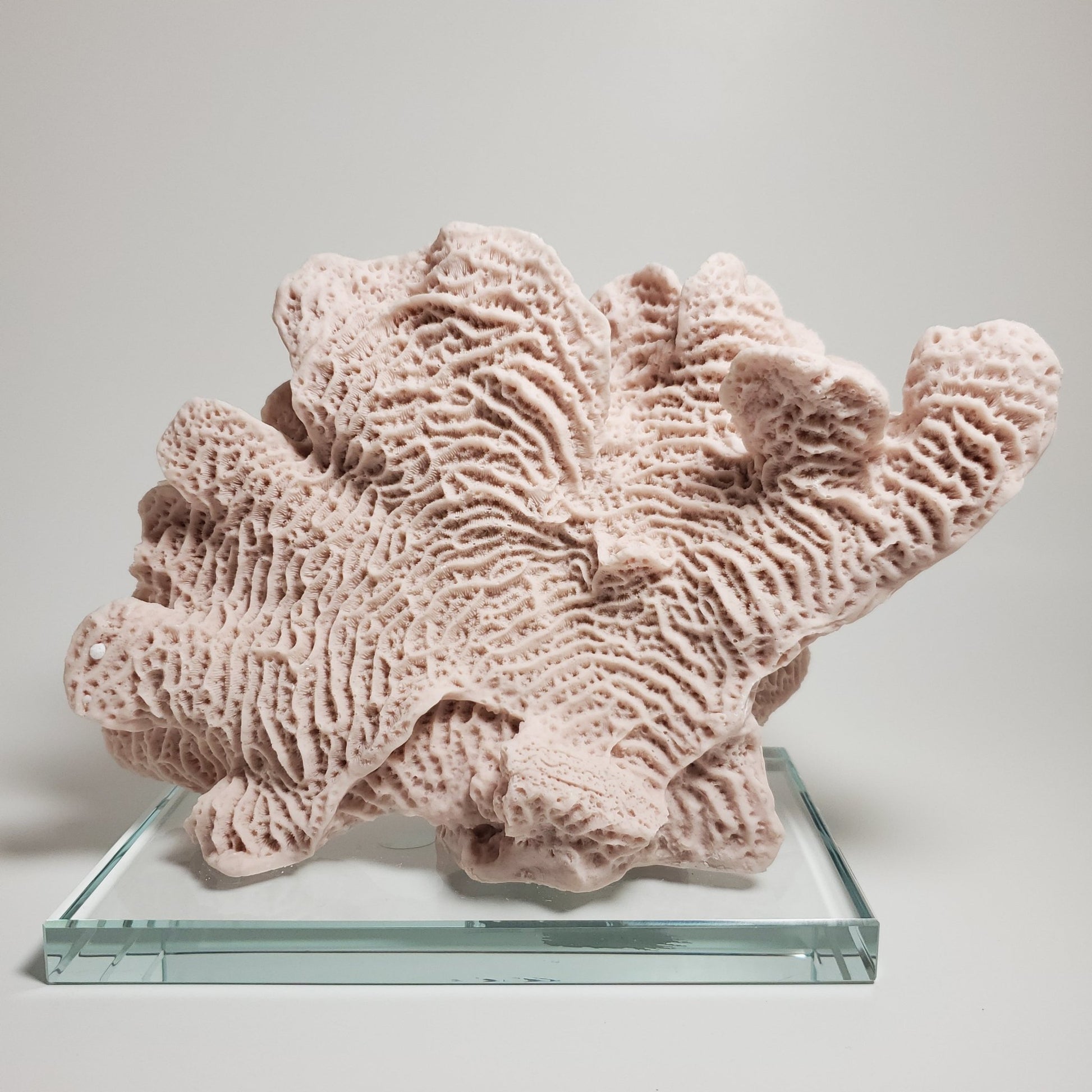 Blush pink coral accent decor - Tamayne's Decor & Events